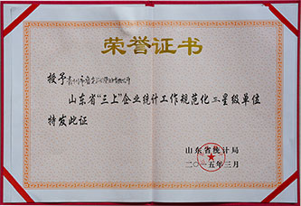 山東省“三上”企業(yè)統(tǒng)計工作規(guī)范化三星級單位